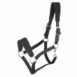 Licol pour cheval Waldhausen Alcantara