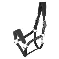 Licol pour cheval Waldhausen Alcantara