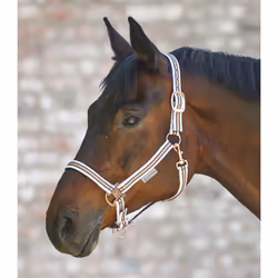 Licol pour cheval Waldhausen Shine