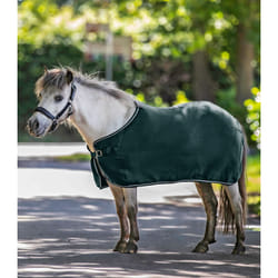 Polaire pour cheval Waldhausen Economic