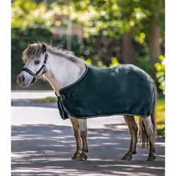 Polaire pour cheval Waldhausen Economic