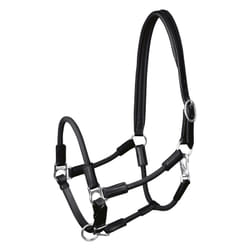 Licol pour cheval Waldhausen Nevada