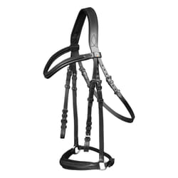 Bridon équitation pour cheval Waldhausen X-Line Hannover