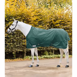 Couverture d'extérieur pour cheval Waldhausen Economic