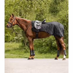 Couvre-reins pour cheval imperméable Waldhausen Exclusive
