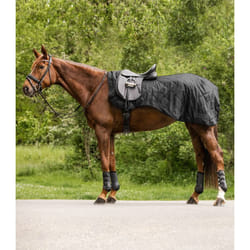 Couvre-reins pour cheval imperméable Waldhausen Exclusive