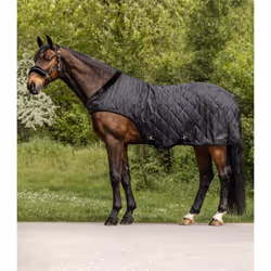 Couverture de marcheur pour cheval Waldhausen Exclusive