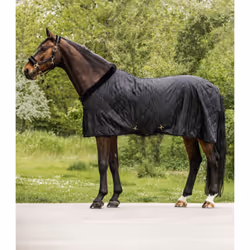 Couverture d'écurie pour cheval Waldhausen Exclusive 50 g