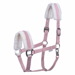 Licol pour Mini-Shetland avec fourrure Waldhausen First
