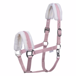 Licol pour poney avec fourrure Waldhausen First