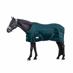 Couverture d'écurie pour cheval Waldhausen Economic 200g