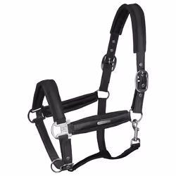 Licol pour cob Waldhausen Breath