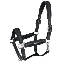 Licol pour cob Waldhausen Breath