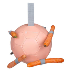Balle à carottes Waldhausen