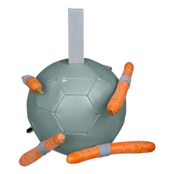 Balle à carottes Waldhausen