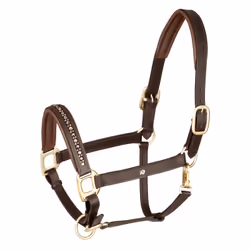 Licol pour cob en cuir Waldhausen Crystal