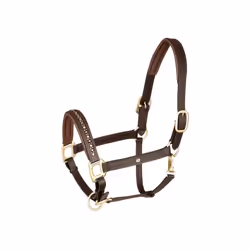Licol pour cheval en cuir Waldhausen Crystal