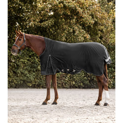 Couverture d'extérieur pour cheval col haut Waldhausen Scandic 0g