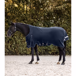 Couverture d'extérieur pour cheval col haute Waldhausen Scandic 100g