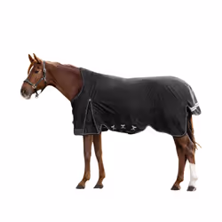 Couverture d'extérieur pour cheval col haute Waldhausen Scandic 100g