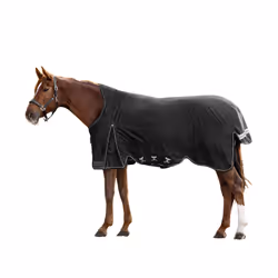 Couverture d'extérieur pour cheval col haute Waldhausen Scandic 200g
