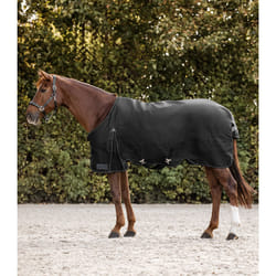 Couverture d'extérieur pour cheval Waldhausen Arctic 100g