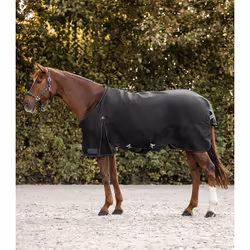 Couverture d'extérieur pour cheval Waldhausen Arctic 100g