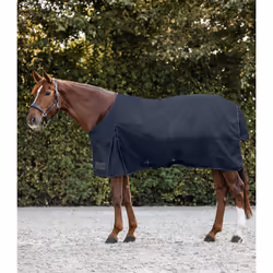 Couverture d'extérieur pour cheval Waldhausen Nordic 100g
