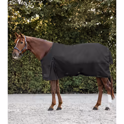 Couverture d'extérieur pour cheval Waldhausen Nordic 300g