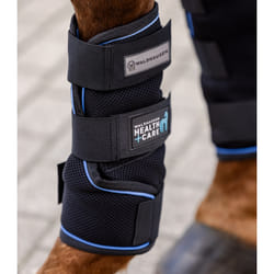 Guêtres pour cheval Waldhausen Health + Care Ice Layer (x2)