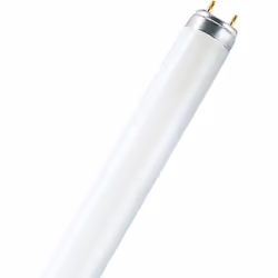 Osram ST8S-EM, 16,2 W, G13, T8, 30000 h, 1530 lm, Blanc chaud