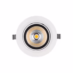 LEDVANCE Spot Vario 170, 35 W, 2 broches, 3550 lm, 50000 h, Blanc froid