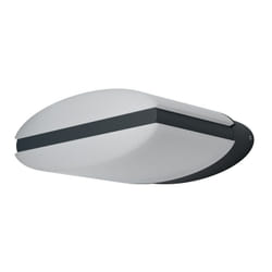 LEDVANCE Endura Style Ellipse Éclairage mural extérieur LED Gris