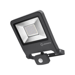 LEDVANCE ENDURA FLOOD 50 W LED Graphite F