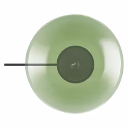 LEDVANCE 4058075217508 lampe de table E27 Vert