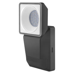 LEDVANCE ENDURA PRO SPOT 8 W LED Graphite