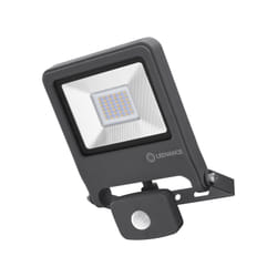 LEDVANCE ENDURA FLOOD 30 W LED Graphite F