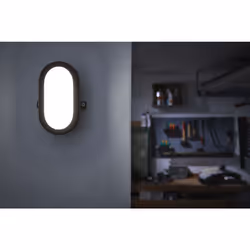 LEDVANCE Bulkhead Éclairage mural extérieur LED Blanc