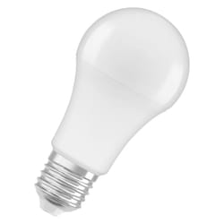 LEDVANCE 4058075304277 ampoule LED Lumière du jour froide 6500 K 13 W E27 E