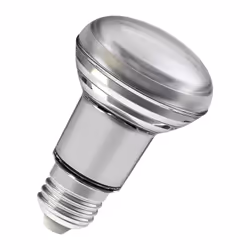 LEDVANCE 4058075433328 ampoule LED Blanc chaud 2700 K 4,9 W E27 G