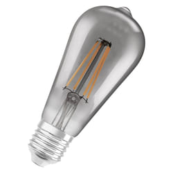 LEDVANCE SMART+ Ampoule intelligente Bluetooth Gris 6 W