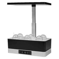 LEDVANCE 4058075576179 lampe de culture pour plantes Ampoule LED