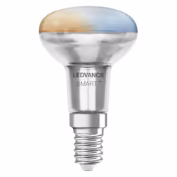 LEDVANCE SMART+ WIFI R5040 Ampoule intelligente 3,3 W Argent Wi-Fi