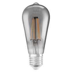 LEDVANCE SMART+ WiFi Filament Edison Ampoule intelligente 6 W Gris Wi-Fi