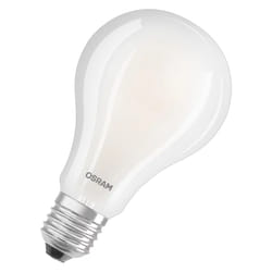 Osram 4058075619074 ampoule LED 24 W E27 D