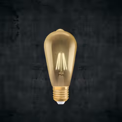 LEDVANCE 4058075754713 ampoule LED 6,5 W E27 E