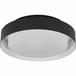 Ampoule plafond verrouillée avec anneau métallique. Propriétés du produit: éclairage de vie décorative. Plafond verrouillé. M ...