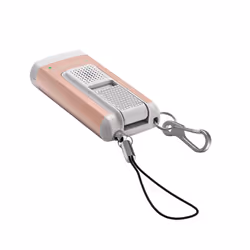 Ledlenser LEDLENSER-502581 torche et lampe de poche Or rose Mini lampe-torche LED