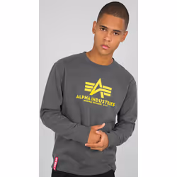 Alpha Industries Basic Sweat-shirt, gris-jaune, taille S pour Hommes