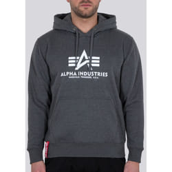 Alpha Industries Basic Chandail à capuchon, gris, taille L pour Hommes